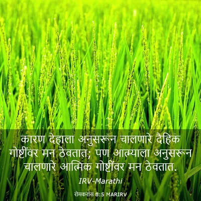 Picture 03 - रोमकरांस 8:5 MARIRV - कारण देहाला - Bible Verse Picture