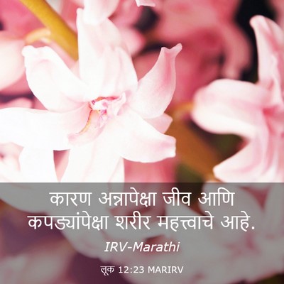 Picture 03 - लूक 12:23 MARIRV - कारण अन्नापेक्षा - Bible Verse Picture