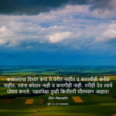 Picture 03 - लूक 12:24 MARIRV - कावळ्यांचा विचार - Bible Verse Picture
