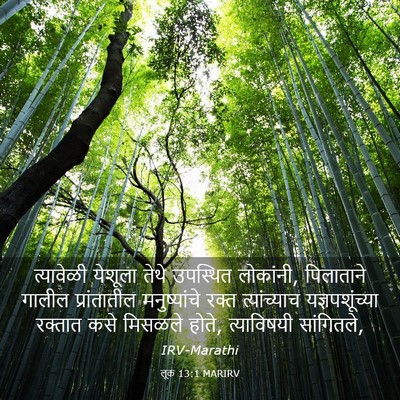 Picture 03 - लूक 13:1 MARIRV - त्यावेळी येशूला - Bible Verse Picture