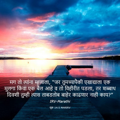 Picture 03 - लूक 14:5 MARIRV - मग तो त्यांना - Bible Verse Picture