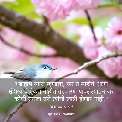 Picture 03 - लूक 16:31 MARIRV - अब्राहाम त्यास - Bible Verse Picture