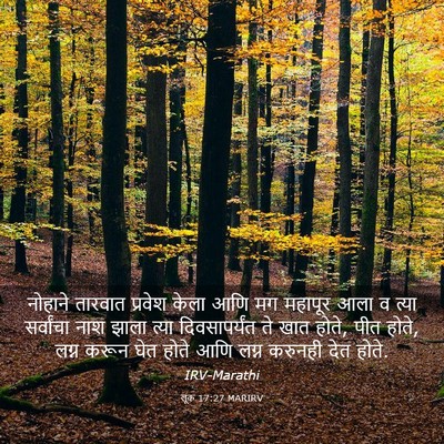 Picture 03 - लूक 17:27 MARIRV - नोहाने तारवात - Bible Verse Picture