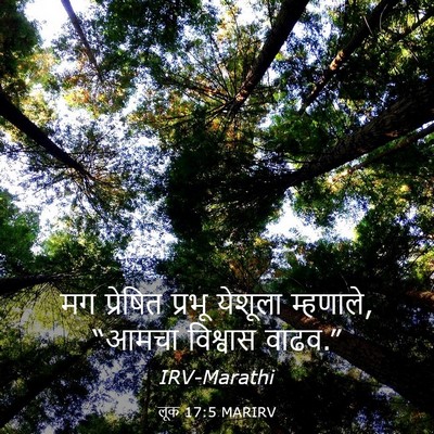 Picture 03 - लूक 17:5 MARIRV - मग प्रेषित प्रभू - Bible Verse Picture