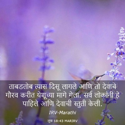 Picture 03 - लूक 18:43 MARIRV - ताबडतोब त्यास - Bible Verse Picture