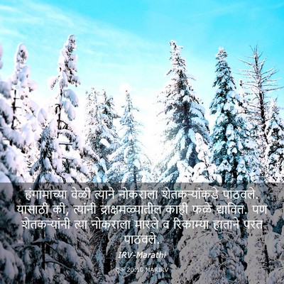 Picture 03 - लूक 20:10 MARIRV - हंगामाच्या वेळी - Bible Verse Picture