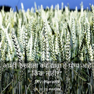 Picture 03 - लूक 20:22 MARIRV - आम्ही कैसराला कर - Bible Verse Picture