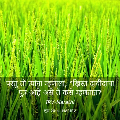Picture 03 - लूक 20:41 MARIRV - परंतु तो त्यांना - Bible Verse Picture