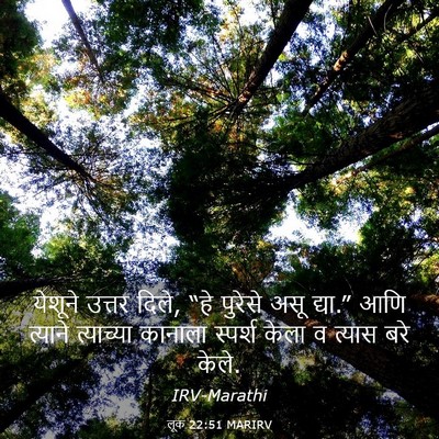 Picture 03 - लूक 22:51 MARIRV - येशूने उत्तर दिले, - Bible Verse Picture