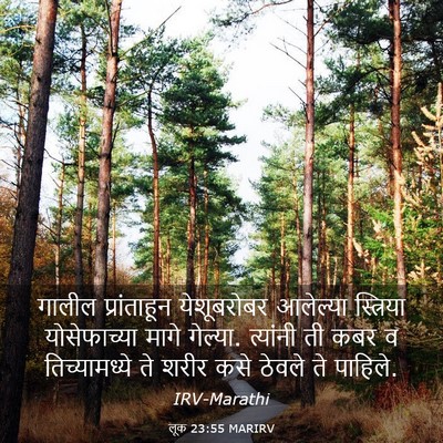 Picture 03 - लूक 23:55 MARIRV - गालील प्रांताहून - Bible Verse Picture