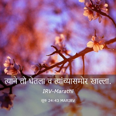 Picture 03 - लूक 24:43 MARIRV - त्याने तो घेतला व - Bible Verse Picture