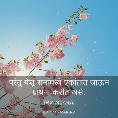 Picture 03 - लूक 5:16 MARIRV - परंतु येशू - Bible Verse Picture