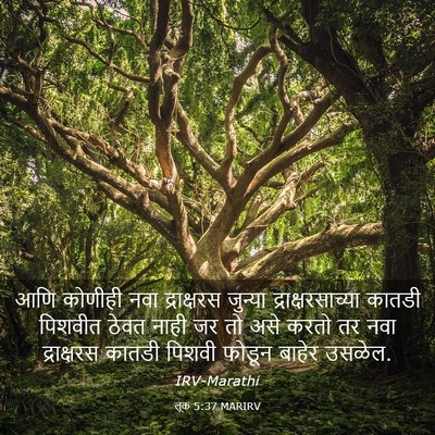 Picture 03 - लूक 5:37 MARIRV - आणि कोणीही नवा - Bible Verse Picture