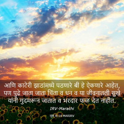 Picture 03 - लूक 8:14 MARIRV - आणि काटेरी - Bible Verse Picture