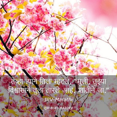 Picture 03 - लूक 8:48 MARIRV - तेव्हा त्याने - Bible Verse Picture