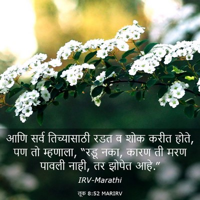 Picture 03 - लूक 8:52 MARIRV - आणि सर्व - Bible Verse Picture