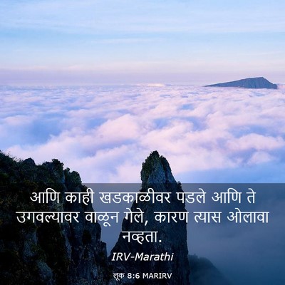 Picture 03 - लूक 8:6 MARIRV - आणि काही खडकाळीवर - Bible Verse Picture