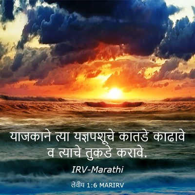 Picture 03 - लेवीय 1:6 MARIRV - याजकाने त्या - Bible Verse Picture