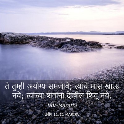 Picture 03 - लेवीय 11:11 MARIRV - ते तुम्ही अयोग्य - Bible Verse Picture