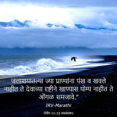 Picture 03 - लेवीय 11:12 MARIRV - जलाशयातल्या ज्या - Bible Verse Picture