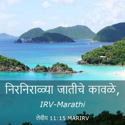 Picture 03 - लेवीय 11:15 MARIRV - निरनिराळ्या - Bible Verse Picture