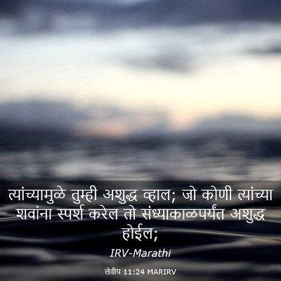 Picture 03 - लेवीय 11:24 MARIRV - त्यांच्यामुळे - Bible Verse Picture
