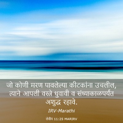 Picture 03 - लेवीय 11:25 MARIRV - जो कोणी मरण - Bible Verse Picture