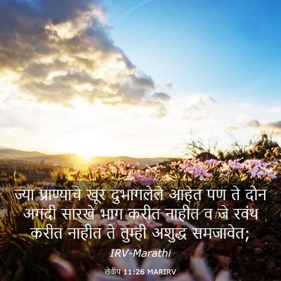 Picture 03 - लेवीय 11:26 MARIRV - ज्या प्राण्याचे - Bible Verse Picture