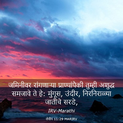 Picture 03 - लेवीय 11:29 MARIRV - जमिनीवर - Bible Verse Picture