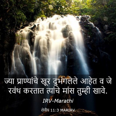 Picture 03 - लेवीय 11:3 MARIRV - ज्या प्राण्यांचे - Bible Verse Picture