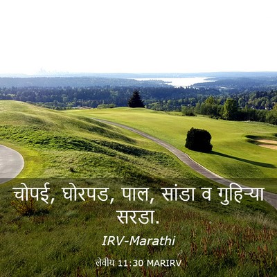 Picture 03 - लेवीय 11:30 MARIRV - चोपई, घोरपड, पाल, - Bible Verse Picture