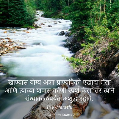 Picture 03 - लेवीय 11:39 MARIRV - खाण्यास योग्य अशा - Bible Verse Picture