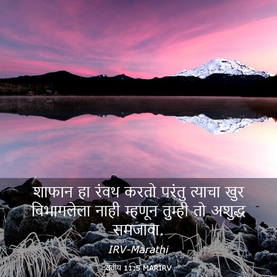Picture 03 - लेवीय 11:5 MARIRV - शाफान हा रंवथ करतो - Bible Verse Picture