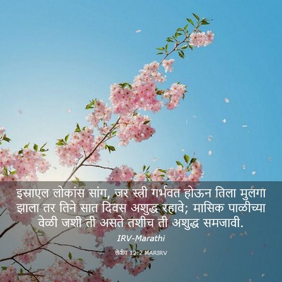 Picture 03 - लेवीय 12:2 MARIRV - इस्राएल लोकांस - Bible Verse Picture