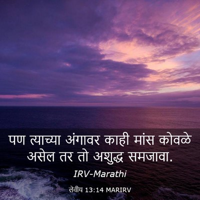 Picture 03 - लेवीय 13:14 MARIRV - पण त्याच्या - Bible Verse Picture