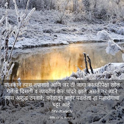 Picture 03 - लेवीय 13:20 MARIRV - याजकाने त्यास - Bible Verse Picture