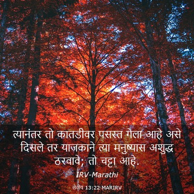 Picture 03 - लेवीय 13:22 MARIRV - त्यानंतर तो - Bible Verse Picture