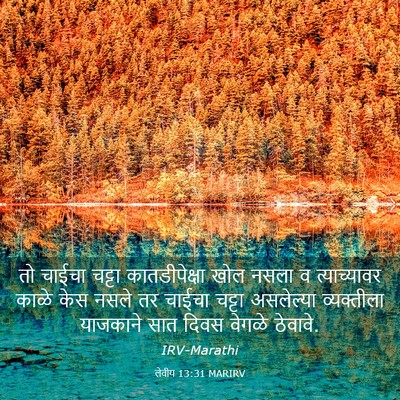 Picture 03 - लेवीय 13:31 MARIRV - तो चाईचा चट्टा - Bible Verse Picture
