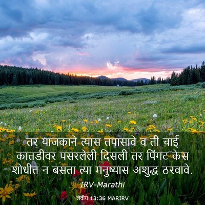 Picture 03 - लेवीय 13:36 MARIRV - तर याजकाने त्यास - Bible Verse Picture