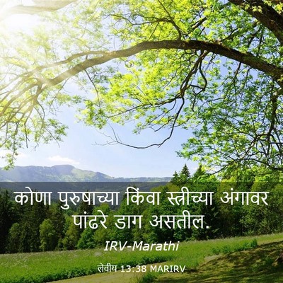 Picture 03 - लेवीय 13:38 MARIRV - कोणा पुरुषाच्या - Bible Verse Picture