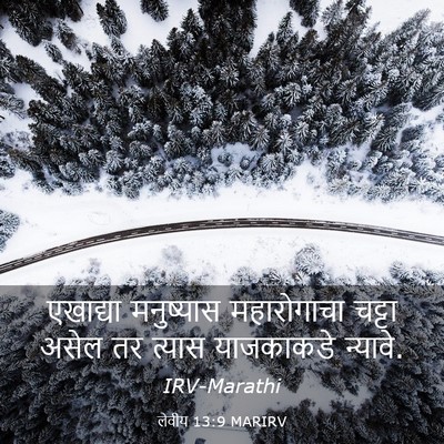 Picture 03 - लेवीय 13:9 MARIRV - एखाद्या मनुष्यास - Bible Verse Picture