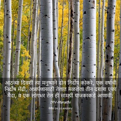Picture 03 - लेवीय 14:10 MARIRV - आठव्या दिवशी त्या - Bible Verse Picture