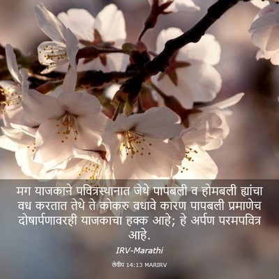 Picture 03 - लेवीय 14:13 MARIRV - मग याजकाने - Bible Verse Picture