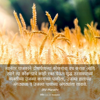 Picture 03 - लेवीय 14:25 MARIRV - त्यानंतर याजकाने - Bible Verse Picture