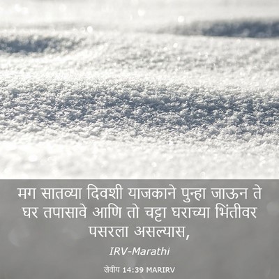 Picture 03 - लेवीय 14:39 MARIRV - मग सातव्या दिवशी - Bible Verse Picture