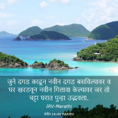 Picture 03 - लेवीय 14:43 MARIRV - जुने दगड काढून - Bible Verse Picture