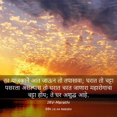 Picture 03 - लेवीय 14:44 MARIRV - तर याजकाने आत जाऊन - Bible Verse Picture