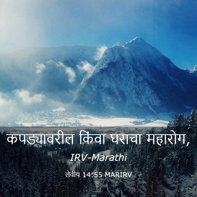 Picture 03 - लेवीय 14:55 MARIRV - कपड्यावरील किंवा - Bible Verse Picture