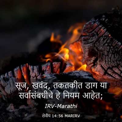 Picture 03 - लेवीय 14:56 MARIRV - सूज, खवंद, तकतकीत - Bible Verse Picture