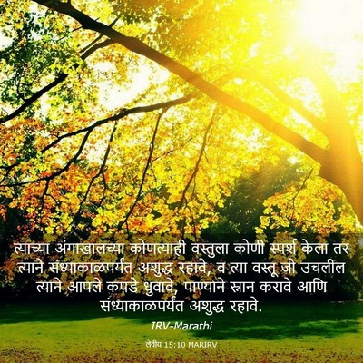 Picture 03 - लेवीय 15:10 MARIRV - त्याच्या - Bible Verse Picture